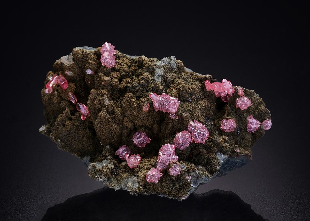 CC36162 specimen image