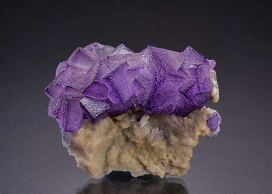 CC36210 specimen image