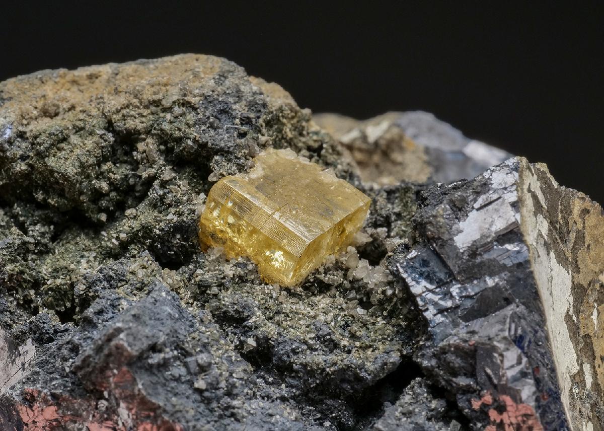 CC36341 specimen image