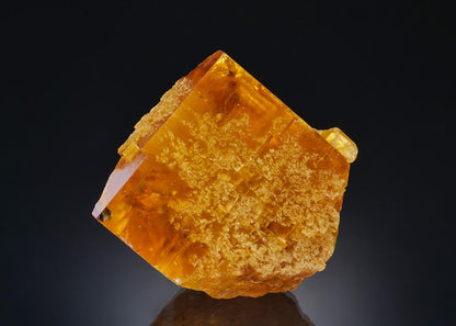 CC36381 specimen image