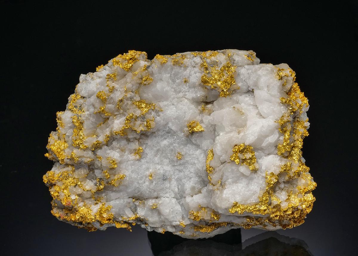 CC36392 specimen image
