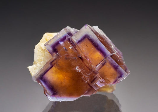 CC36413 specimen image