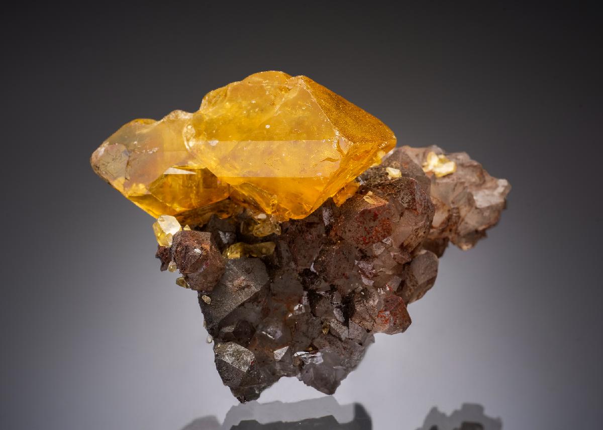 CC36425 specimen image