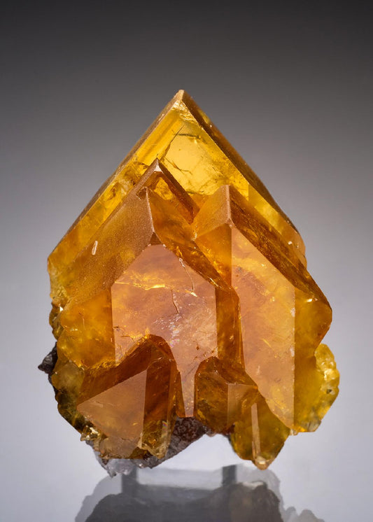 CC36428 specimen image