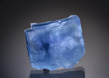 CC36434 specimen image