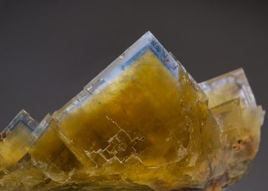 CC36443 specimen image