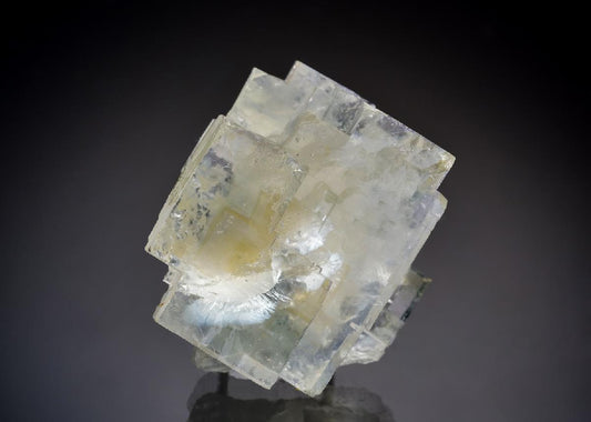 CC36449 specimen image