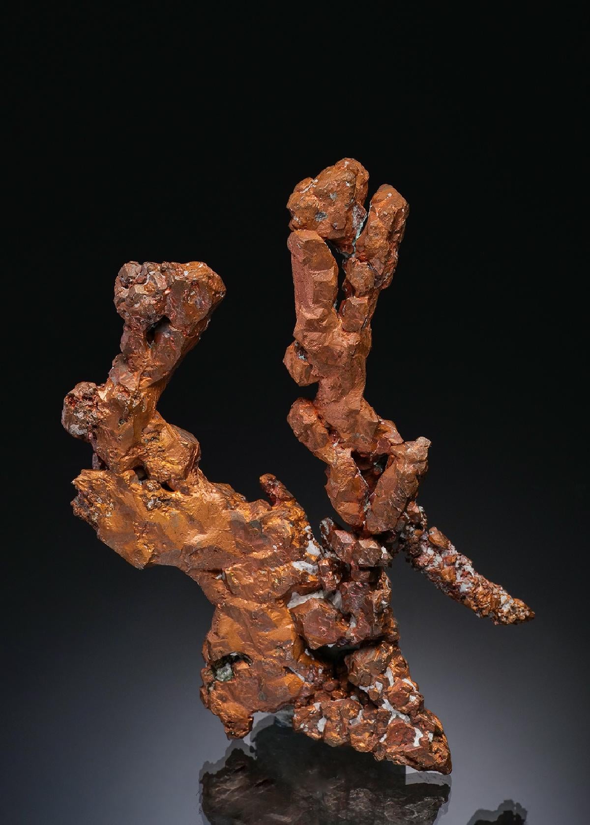 CC36514 specimen image