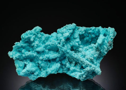 CC36518 specimen image