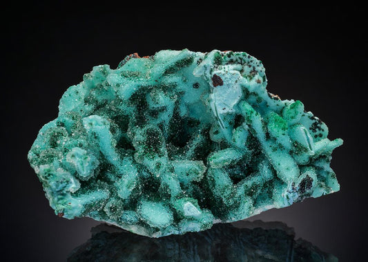 CC36543 specimen image