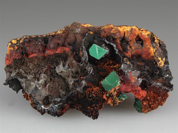 CC3661 specimen image