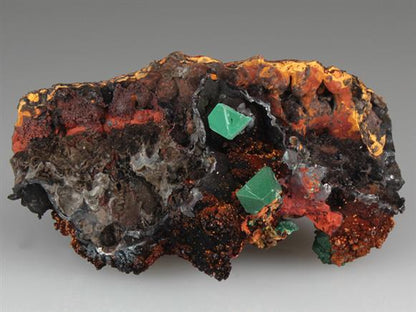 CC3661 specimen image