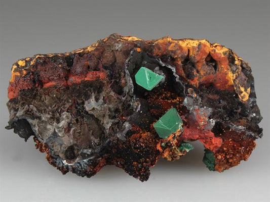 CC3661 specimen image