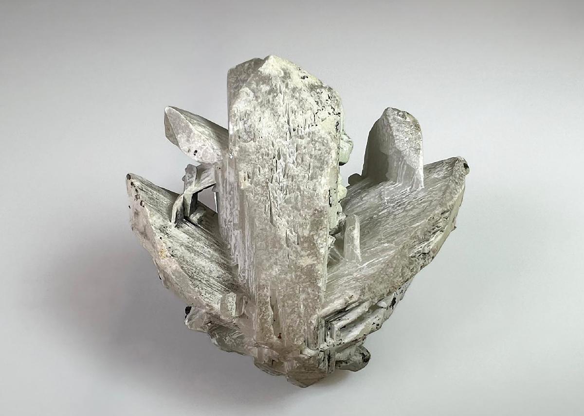 CC36621 specimen image