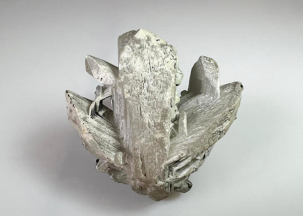 CC36621 specimen image