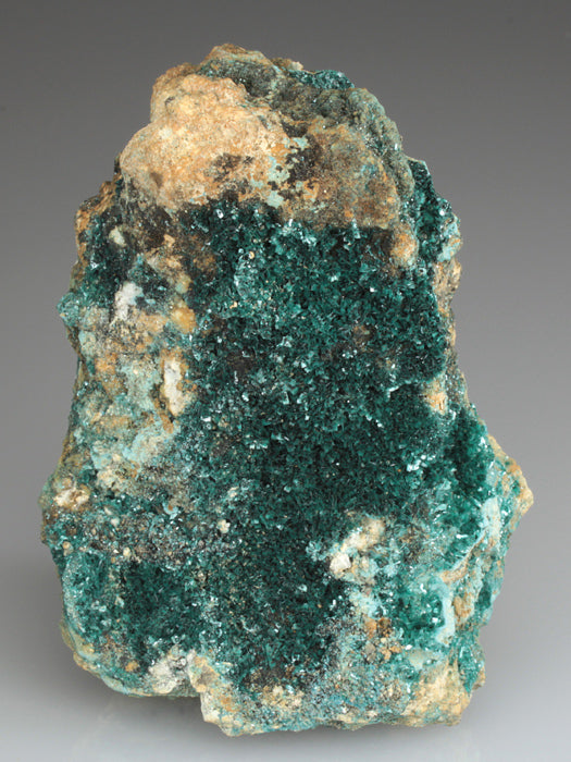 CC3667 specimen image