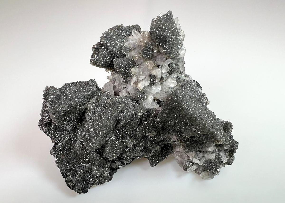 CC36783 specimen image