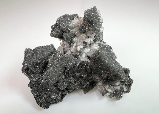 CC36783 specimen image