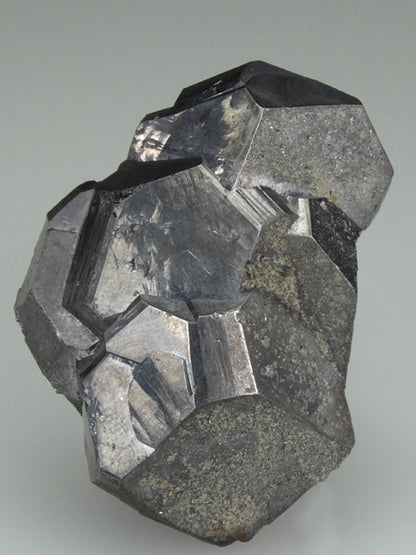 CC3687 specimen image