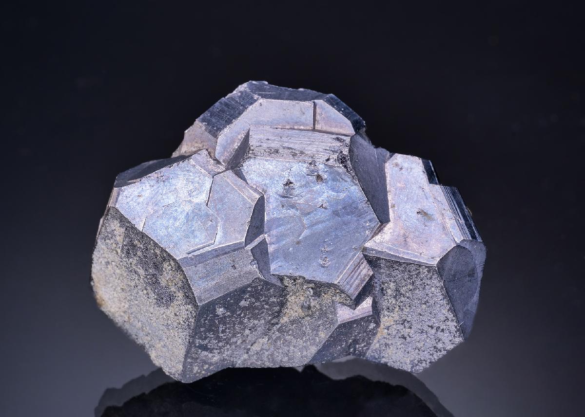 CC3687 specimen image