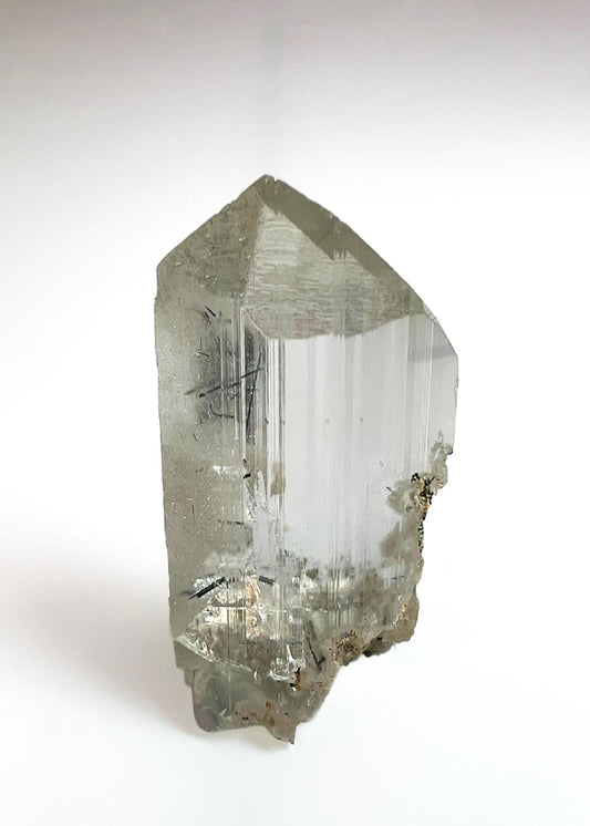 CC36948 specimen image