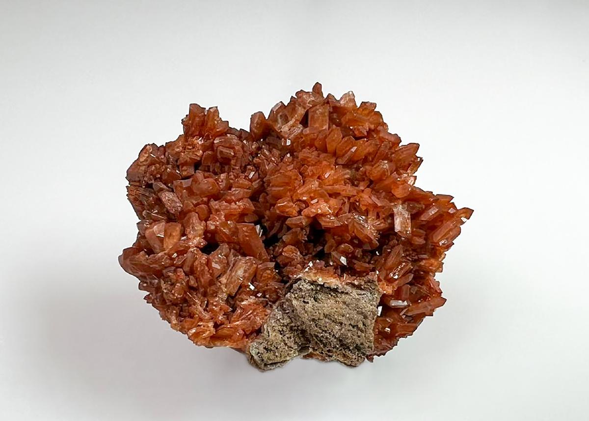 CC36984 specimen image