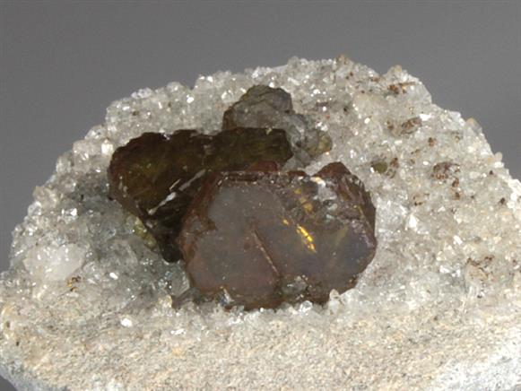 CC3700 specimen image
