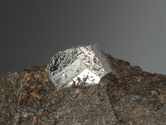 CC3711 specimen image