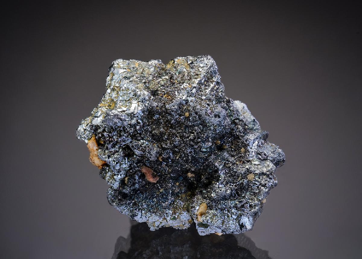 CC37138 specimen image