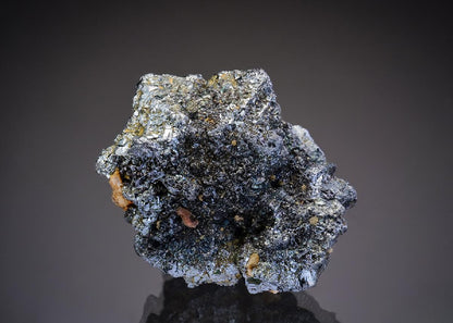 CC37138 specimen image