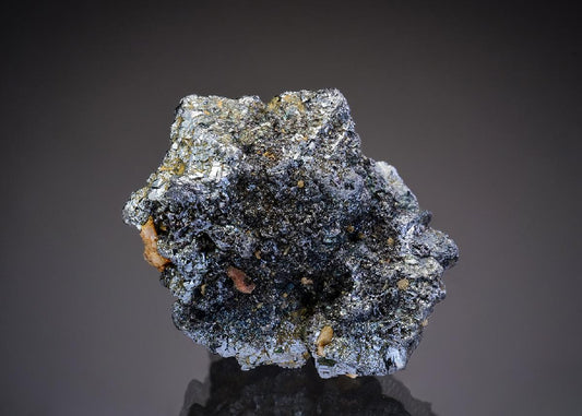 CC37138 specimen image