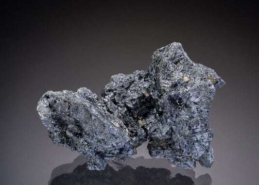 CC37140 specimen image