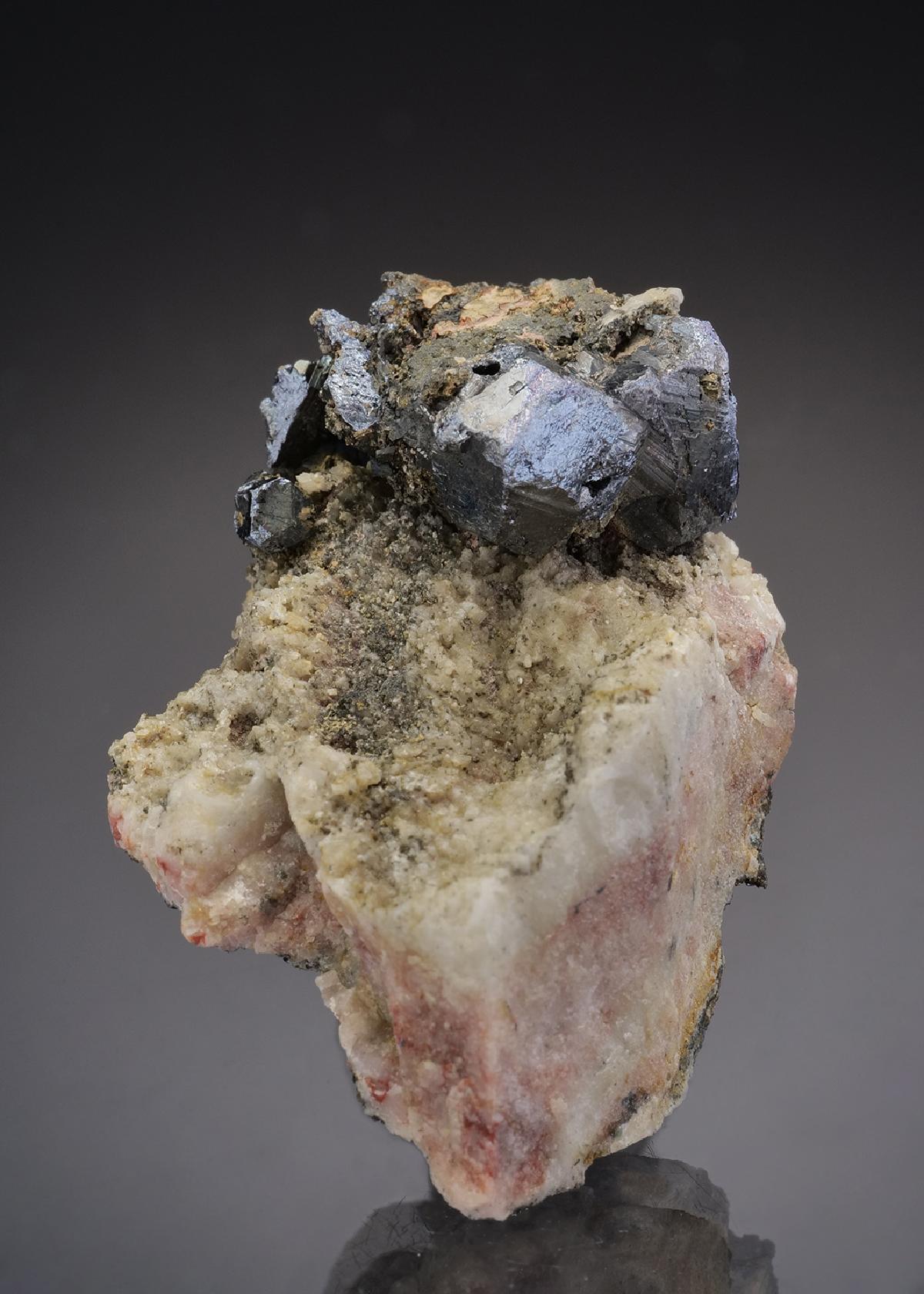 CC37142 specimen image