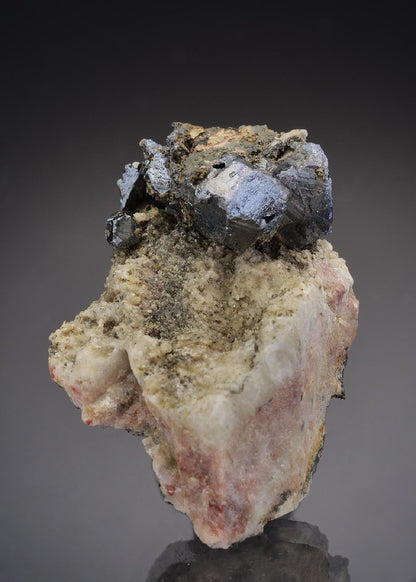 CC37142 specimen image