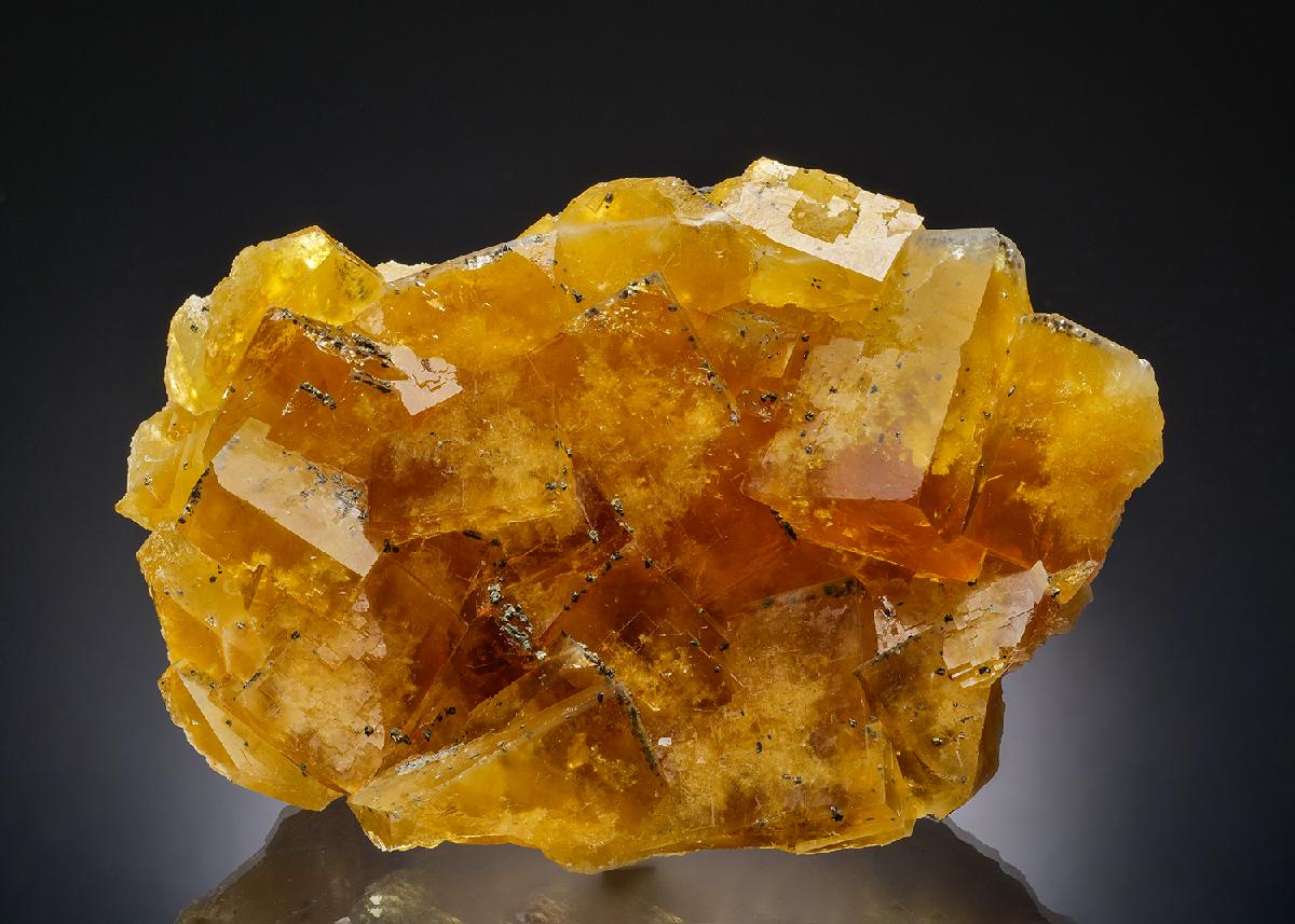 CC37182 specimen image
