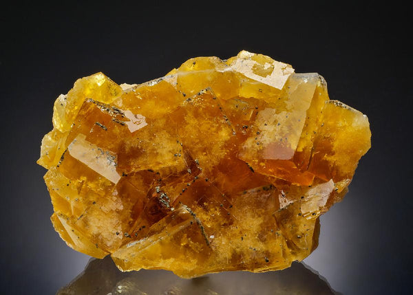 CC37182 specimen image