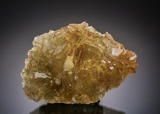 CC37191 specimen image