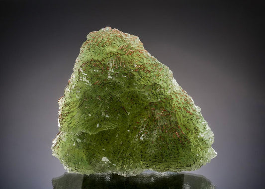 CC37194 specimen image