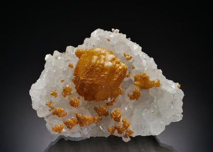 CC37212 specimen image
