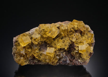 CC37215 specimen image