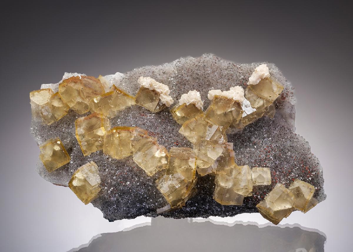 CC37230 specimen image
