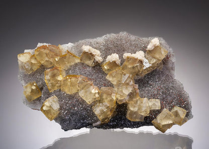 CC37230 specimen image