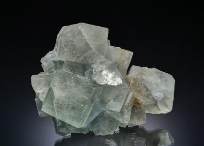 CC37240 specimen image