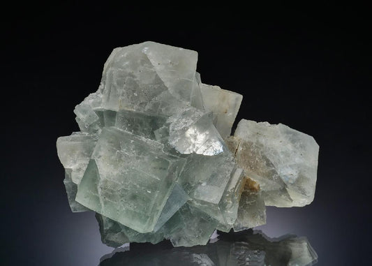 CC37240 specimen image