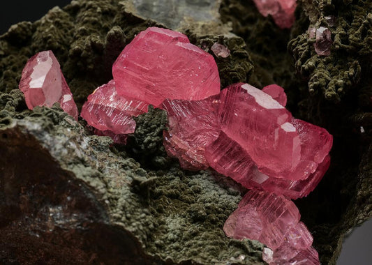 CC37324 specimen image