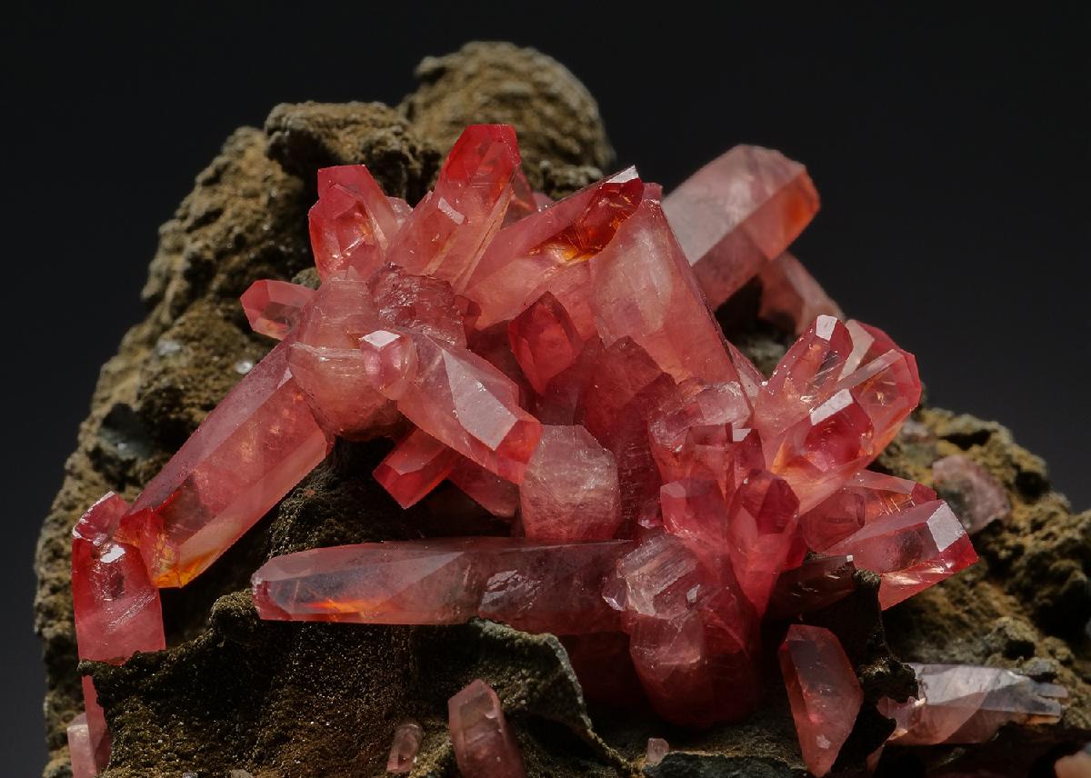 CC37326 specimen image