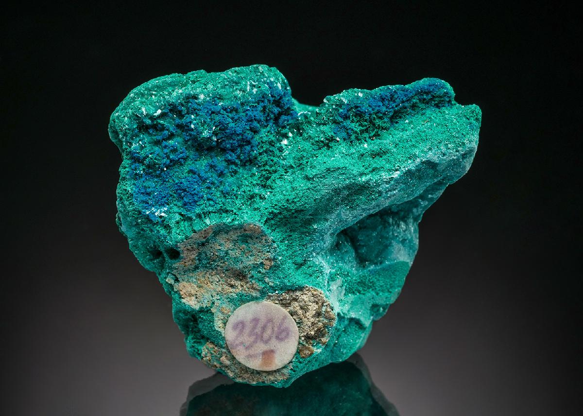 CC37352 specimen image