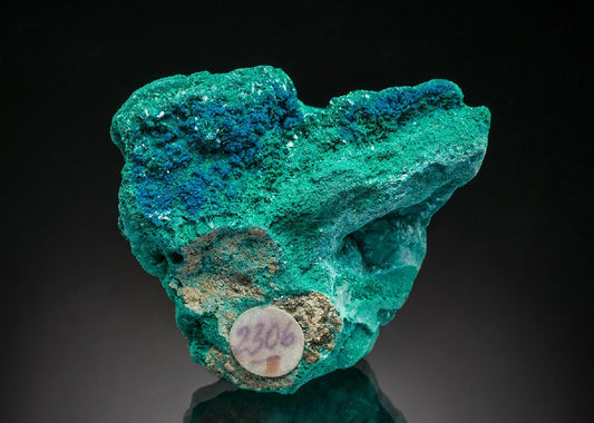 CC37352 specimen image