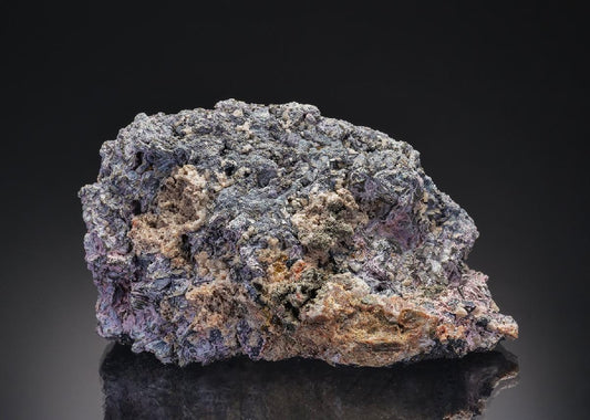 CC37354 specimen image