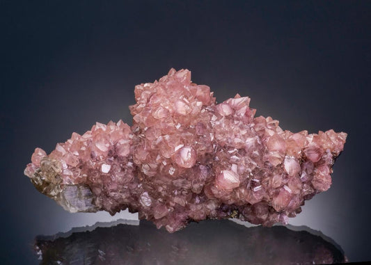 CC37500 specimen image